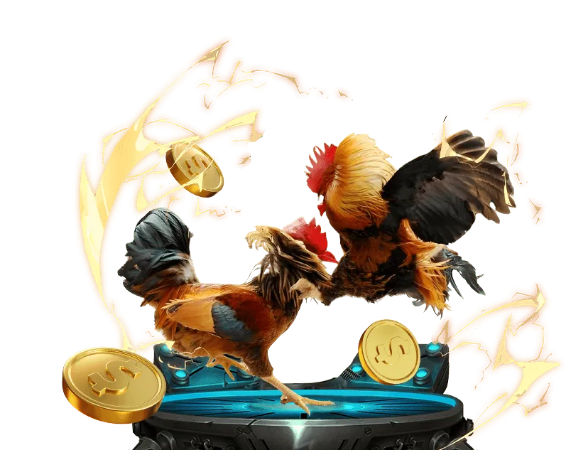 Quản lý vốn hiệu quả zx88